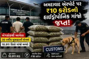 અમદાવાદ એરપોર્ટ પર ₹10 કરોડથી વધુનો હાઇડ્રોપોનિક ગાંજો જપ્ત, બેંગકોકથી આવેલ મુસાફર ઝડપાયો